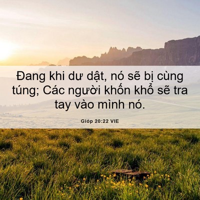Picture 06 - Gióp 20:22 VIE - Đang khi dư dật, nó sẽ bị cùng túng; - Bible Verse Picture