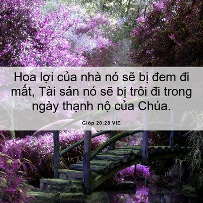 Picture 06 - Gióp 20:28 VIE - Hoa lợi của nhà nó sẽ bị đem đi - Bible Verse Picture