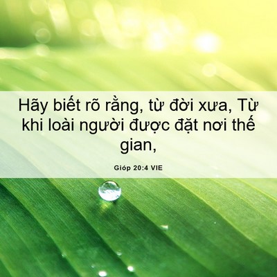 Picture 06 - Gióp 20:4 VIE - Hãy biết rõ rằng, từ đời xưa, Từ - Bible Verse Picture