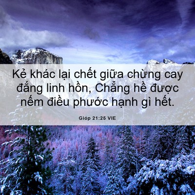 Picture 06 - Gióp 21:25 VIE - Kẻ khác lại chết giữa chừng cay - Bible Verse Picture