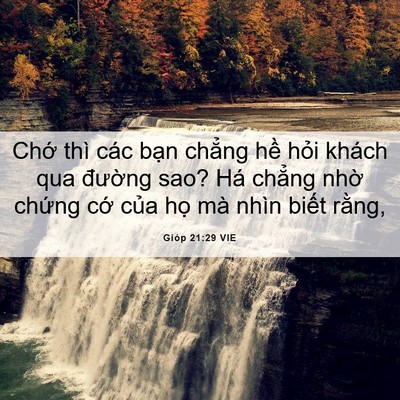 Picture 06 - Gióp 21:29 VIE - Chớ thì các bạn chẳng hề hỏi khách - Bible Verse Picture