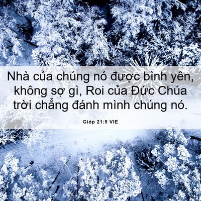 Picture 06 - Gióp 21:9 VIE - Nhà của chúng nó được bình yên, không - Bible Verse Picture