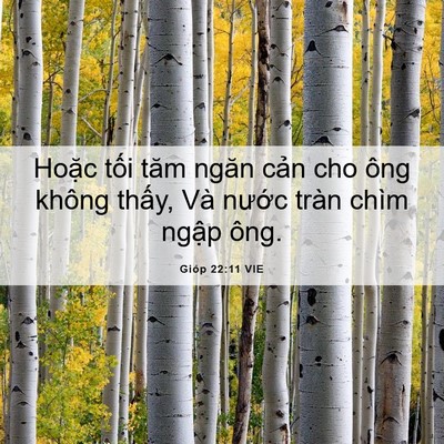 Picture 06 - Gióp 22:11 VIE - Hoặc tối tăm ngăn cản cho ông không - Bible Verse Picture