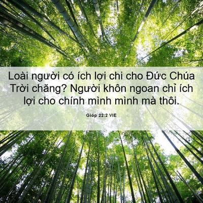 Picture 06 - Gióp 22:2 VIE - Loài người có ích lợi chi cho Đức - Bible Verse Picture