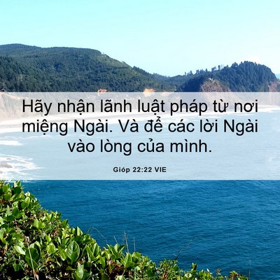 Picture 06 - Gióp 22:22 VIE - Hãy nhận lãnh luật pháp từ nơi miệng - Bible Verse Picture