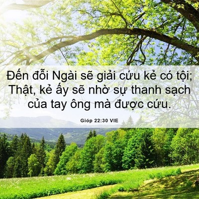 Picture 06 - Gióp 22:30 VIE - Đến đỗi Ngài sẽ giải cứu kẻ có - Bible Verse Picture