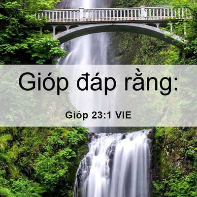 Picture 06 - Gióp 23:1 VIE - Gióp đáp - Bible Verse Picture