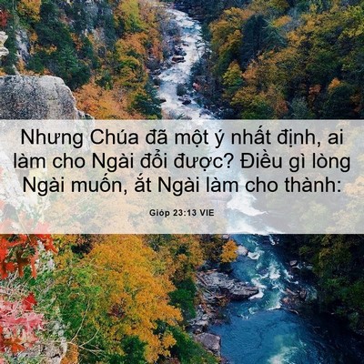 Picture 06 - Gióp 23:13 VIE - Nhưng Chúa đã một ý nhất định, ai - Bible Verse Picture