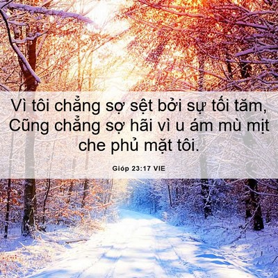 Picture 06 - Gióp 23:17 VIE - Vì tôi chẳng sợ sệt bởi sự tối - Bible Verse Picture