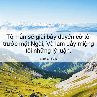 Picture 06 - Gióp 23:4 VIE - Tôi hẳn sẽ giãi bày duyên cớ tôi - Bible Verse Picture