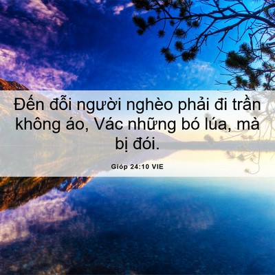 Picture 06 - Gióp 24:10 VIE - Đến đỗi người nghèo phải đi trần - Bible Verse Picture