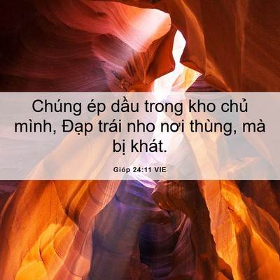 Picture 06 - Gióp 24:11 VIE - Chúng ép dầu trong kho chủ mình, Đạp - Bible Verse Picture