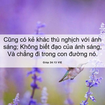Picture 06 - Gióp 24:13 VIE - Cũng có kẻ khác thù nghịch với ánh - Bible Verse Picture