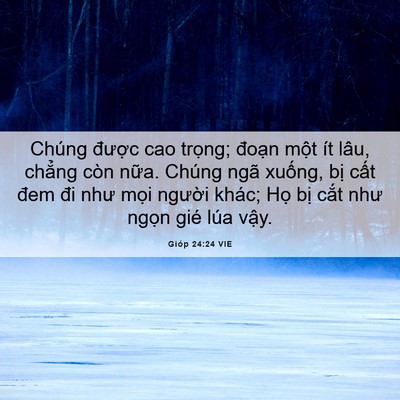 Picture 06 - Gióp 24:24 VIE - Chúng được cao trọng; đoạn một ít - Bible Verse Picture