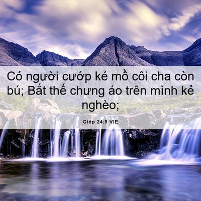 Picture 06 - Gióp 24:9 VIE - Có người cướp kẻ mồ côi cha còn bú; - Bible Verse Picture