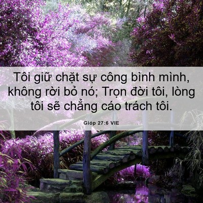 Picture 06 - Gióp 27:6 VIE - Tôi giữ chặt sự công bình mình, không - Bible Verse Picture