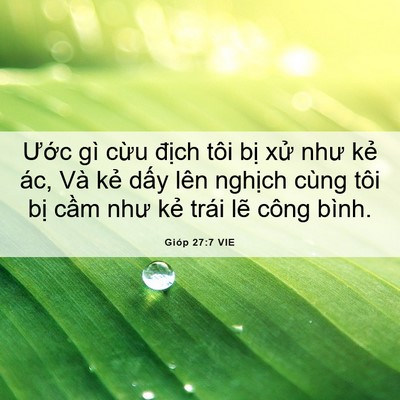 Picture 06 - Gióp 27:7 VIE - Ước gì cừu địch tôi bị xử như kẻ - Bible Verse Picture