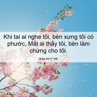 Picture 06 - Gióp 29:11 VIE - Khi tai ai nghe tôi, bèn xưng tôi có - Bible Verse Picture