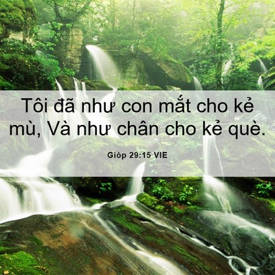Picture 06 - Gióp 29:15 VIE - Tôi đã như con mắt cho kẻ mù, Và như - Bible Verse Picture