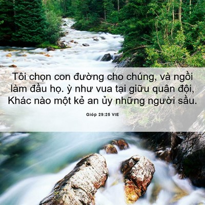 Picture 06 - Gióp 29:25 VIE - Tôi chọn con đường cho chúng, và ngồi - Bible Verse Picture