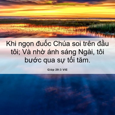Picture 06 - Gióp 29:3 VIE - Khi ngọn đuốc Chúa soi trên đầu tôi; - Bible Verse Picture
