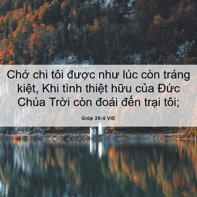 Picture 06 - Gióp 29:4 VIE - Chớ chi tôi được như lúc còn tráng - Bible Verse Picture