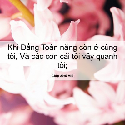 Picture 06 - Gióp 29:5 VIE - Khi Đấng Toàn năng còn ở cùng tôi, Và - Bible Verse Picture