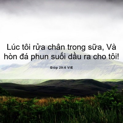 Picture 06 - Gióp 29:6 VIE - Lúc tôi rửa chân trong sữa, Và hòn đá - Bible Verse Picture