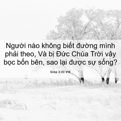 Picture 06 - Gióp 3:23 VIE - Người nào không biết đường mình - Bible Verse Picture