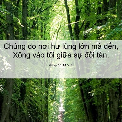 Picture 06 - Gióp 30:14 VIE - Chúng do nơi hư lũng lớn mà đến, Xông - Bible Verse Picture