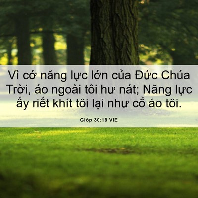 Picture 06 - Gióp 30:18 VIE - Vì cớ năng lực lớn của Đức Chúa - Bible Verse Picture