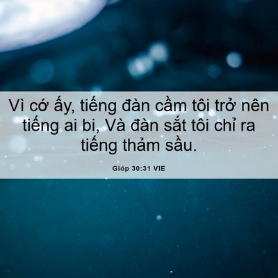 Picture 06 - Gióp 30:31 VIE - Vì cớ ấy, tiếng đàn cầm tôi trở - Bible Verse Picture