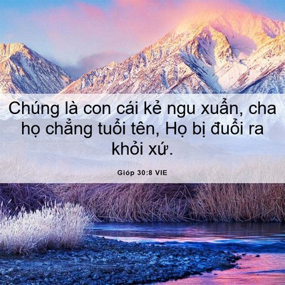 Picture 06 - Gióp 30:8 VIE - Chúng là con cái kẻ ngu xuẩn, cha họ - Bible Verse Picture