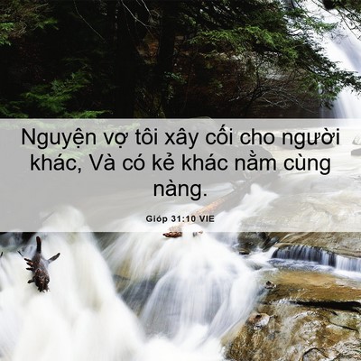 Picture 06 - Gióp 31:10 VIE - Nguyện vợ tôi xây cối cho người khác, - Bible Verse Picture