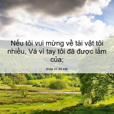 Picture 06 - Gióp 31:25 VIE - Nếu tôi vui mừng về tài vật tôi - Bible Verse Picture