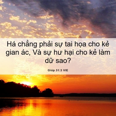 Picture 06 - Gióp 31:3 VIE - Há chẳng phải sự tai họa cho kẻ gian - Bible Verse Picture