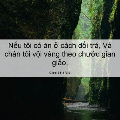 Picture 06 - Gióp 31:5 VIE - Nếu tôi có ăn ở cách dối trá, Và - Bible Verse Picture