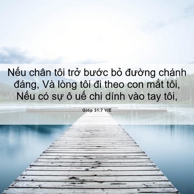 Picture 06 - Gióp 31:7 VIE - Nếu chân tôi trở bước bỏ đường - Bible Verse Picture