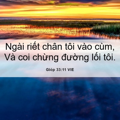 Picture 06 - Gióp 33:11 VIE - Ngài riết chân tôi vào cùm, Và coi - Bible Verse Picture