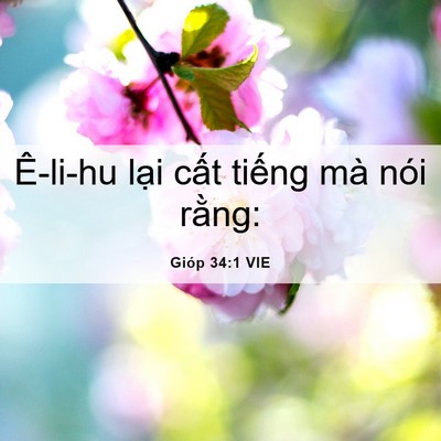 Picture 06 - Gióp 34:1 VIE - Ê-li-hu lại cất tiếng mà nói - Bible Verse Picture