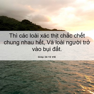 Picture 06 - Gióp 34:15 VIE - Thì các loài xác thịt chắc chết chung - Bible Verse Picture