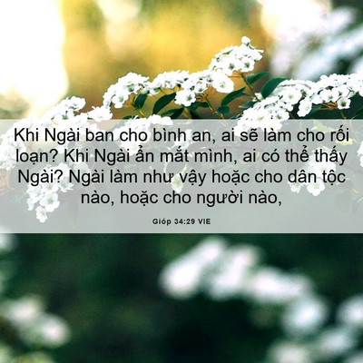 Picture 06 - Gióp 34:29 VIE - Khi Ngài ban cho bình an, ai sẽ làm cho - Bible Verse Picture