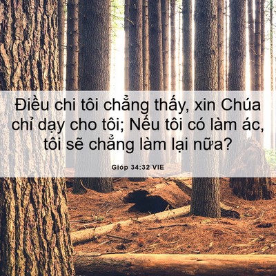 Picture 06 - Gióp 34:32 VIE - Điều chi tôi chẳng thấy, xin Chúa chỉ - Bible Verse Picture