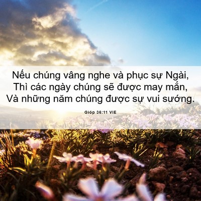 Picture 06 - Gióp 36:11 VIE - Nếu chúng vâng nghe và phục sự Ngài, - Bible Verse Picture