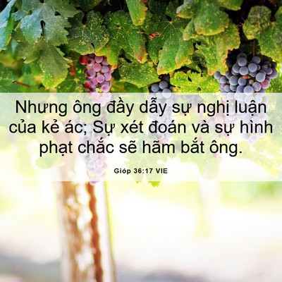Picture 06 - Gióp 36:17 VIE - Nhưng ông đầy dẫy sự nghị luận của - Bible Verse Picture