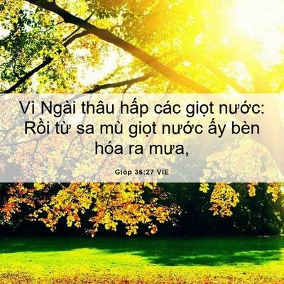 Picture 06 - Gióp 36:27 VIE - Vì Ngài thâu hấp các giọt nước: Rồi - Bible Verse Picture