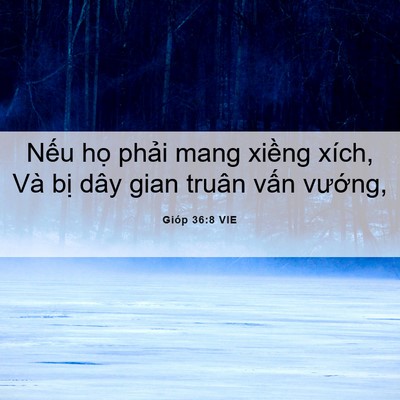 Picture 06 - Gióp 36:8 VIE - Nếu họ phải mang xiềng xích, Và bị - Bible Verse Picture