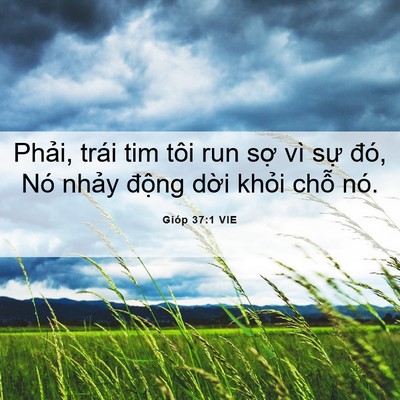 Picture 06 - Gióp 37:1 VIE - Phải, trái tim tôi run sợ vì sự đó, - Bible Verse Picture