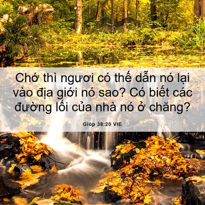 Picture 06 - Gióp 38:20 VIE - Chớ thì ngươi có thế dẫn nó lại vào - Bible Verse Picture