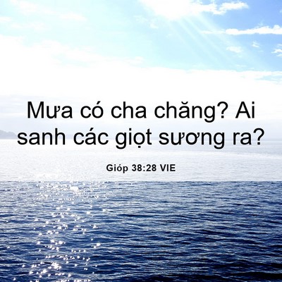 Picture 06 - Gióp 38:28 VIE - Mưa có cha chăng? Ai sanh các giọt sương - Bible Verse Picture